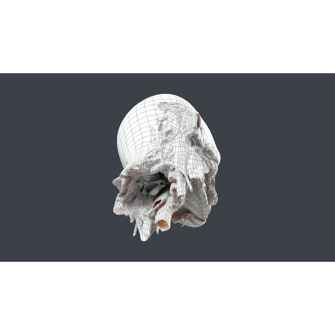 Severed Head 3D Model – Low Poly Character Asset with PBR Textures - View 14