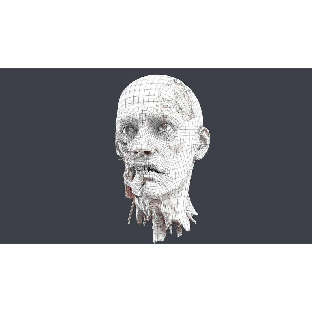 Severed Head 3D Model – Low Poly Character Asset with PBR Textures - View 15