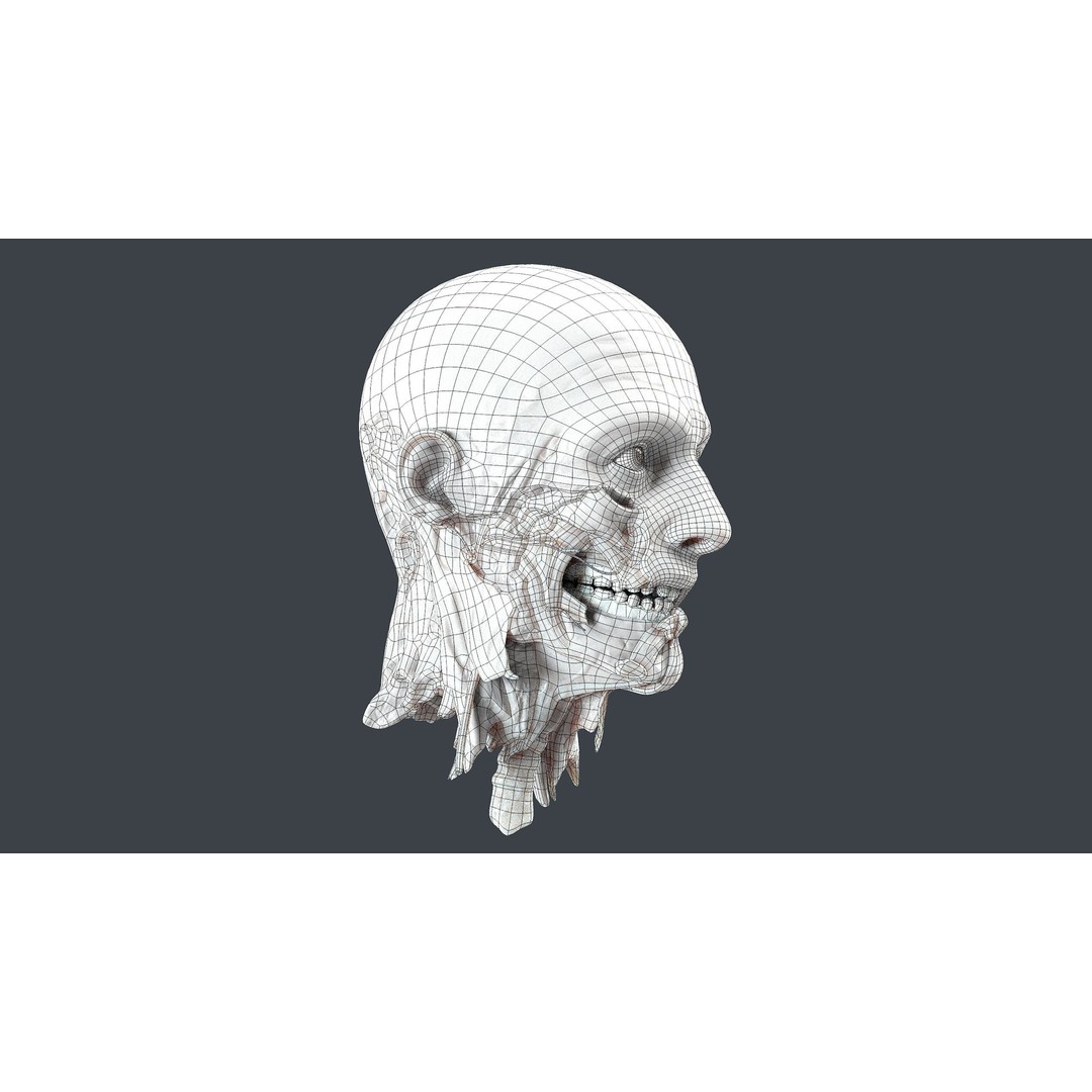 Severed Head 3D Model – Low Poly Character Asset with PBR Textures - View 16