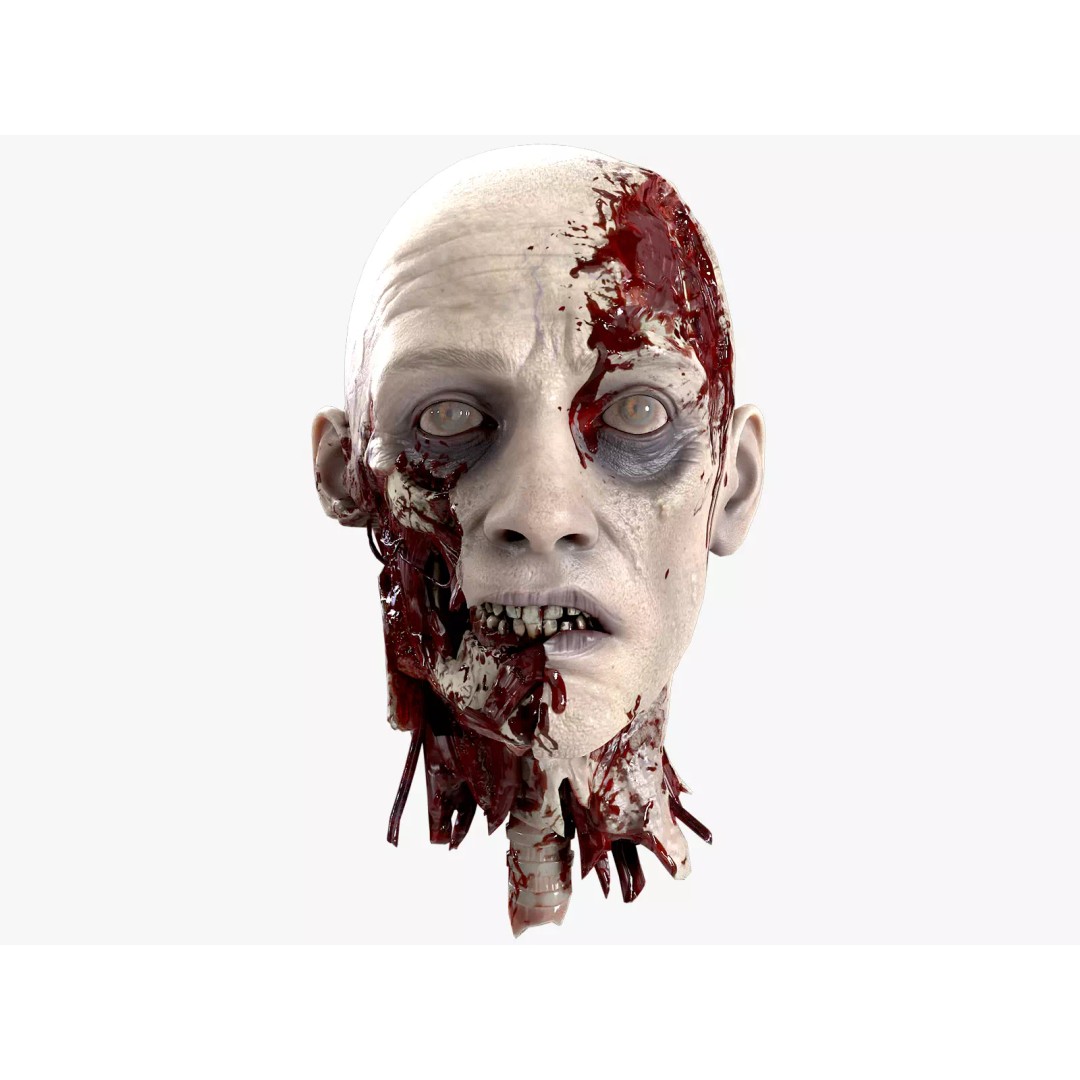 Severed Head 3D Model – Low Poly Character Asset with PBR Textures - View 2