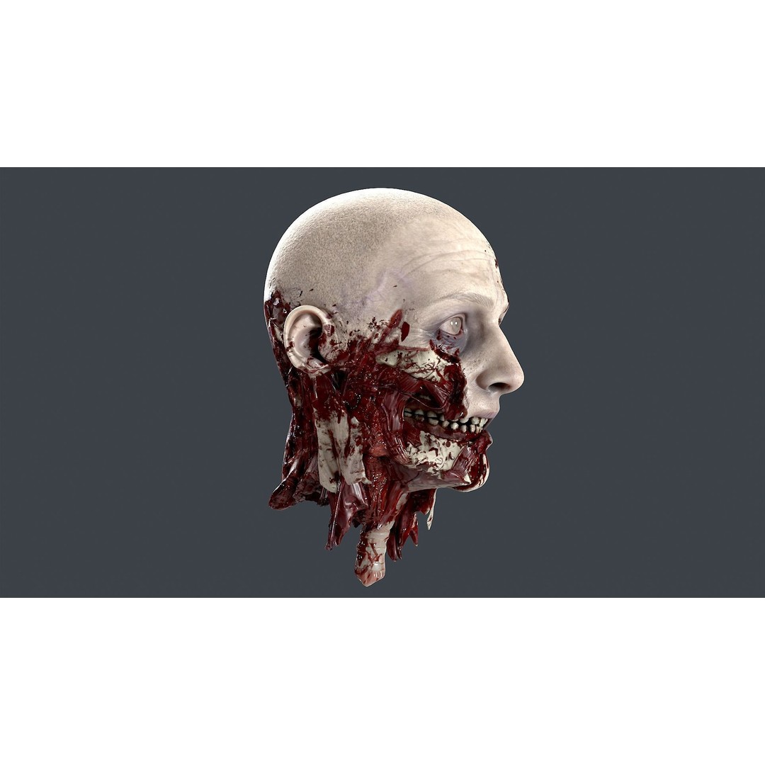 Severed Head 3D Model – Low Poly Character Asset with PBR Textures - View 4