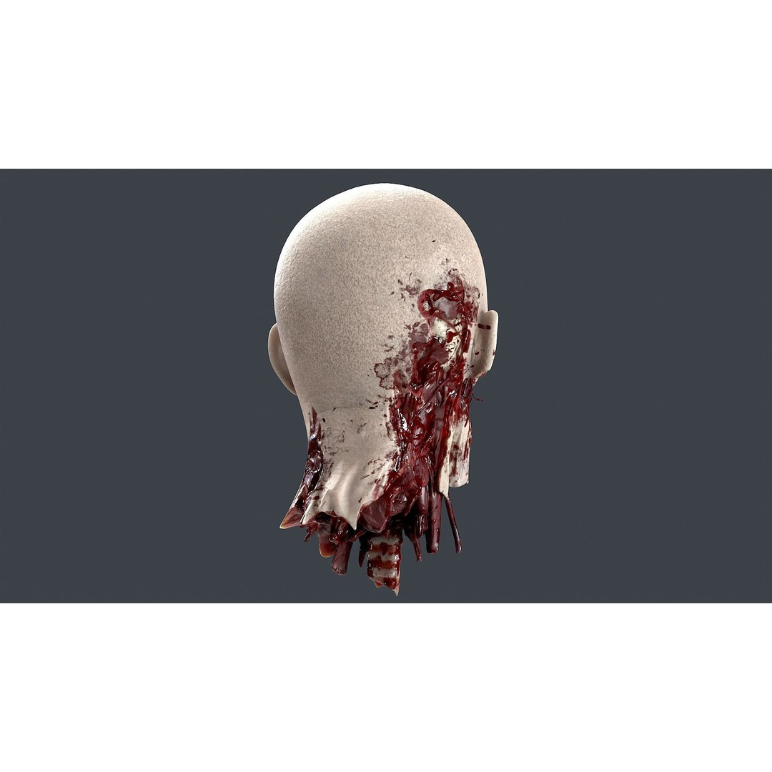 Severed Head 3D Model – Low Poly Character Asset with PBR Textures - View 5