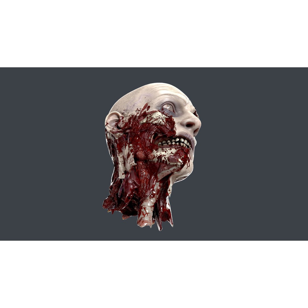 Severed Head 3D Model – Low Poly Character Asset with PBR Textures - View 8