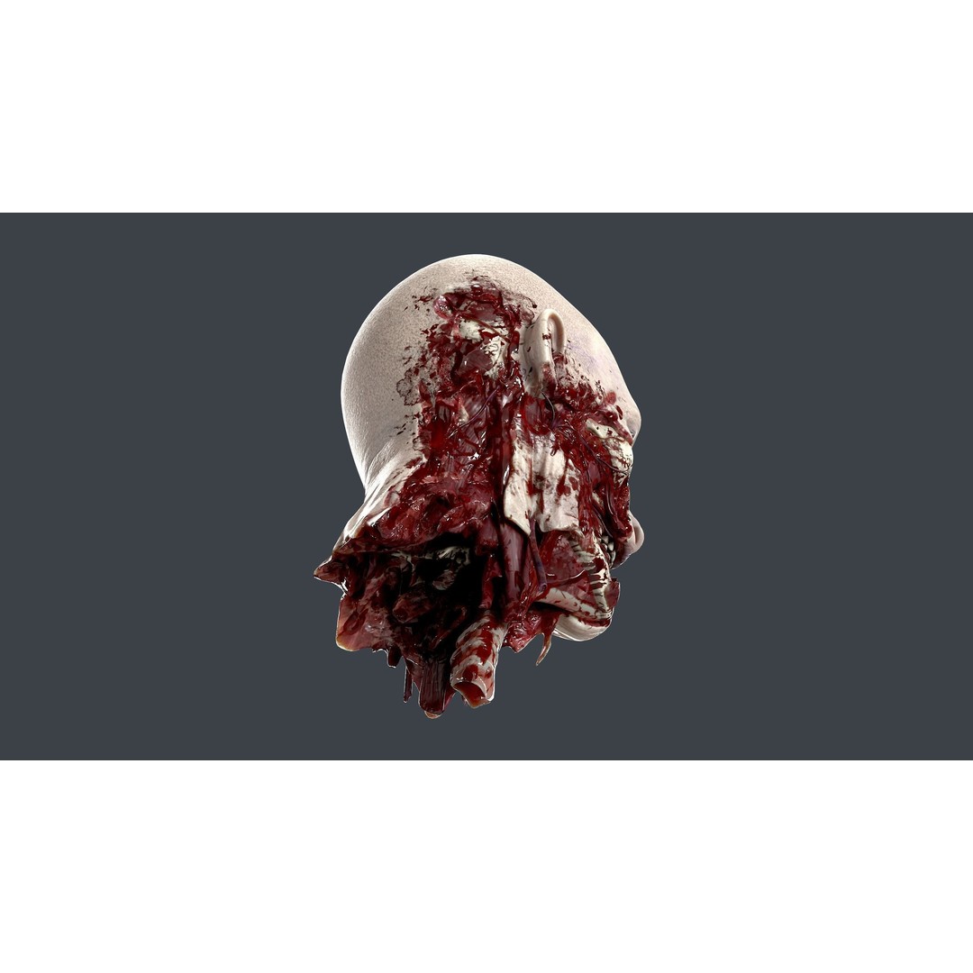Severed Head 3D Model – Low Poly Character Asset with PBR Textures - View 9