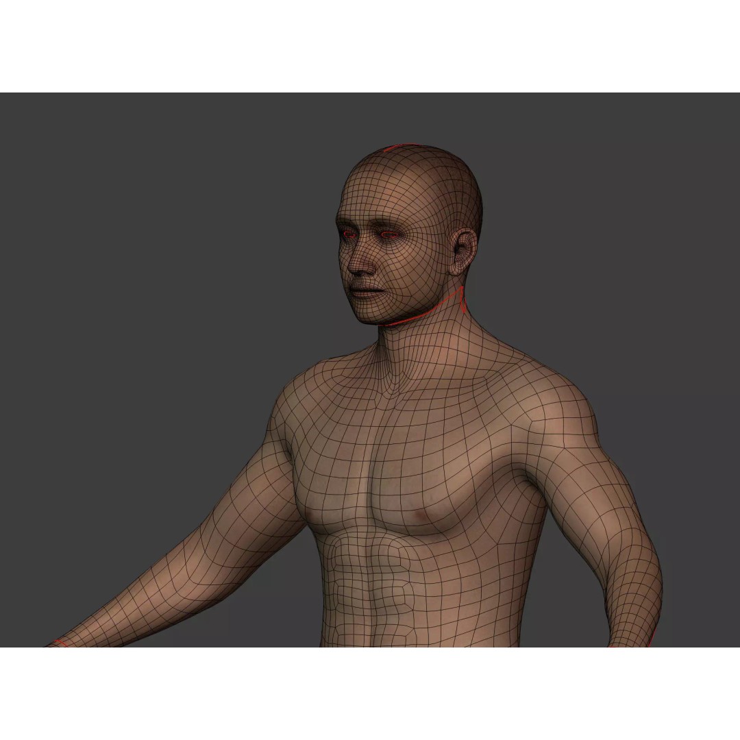 Human Skeleton 3D Model – Low Poly Anatomy Asset, FBX & Blender - View 12