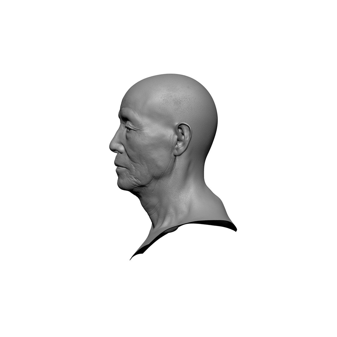 Retopologized Male Head 3D Model – Photogrammetry with PBR Textures