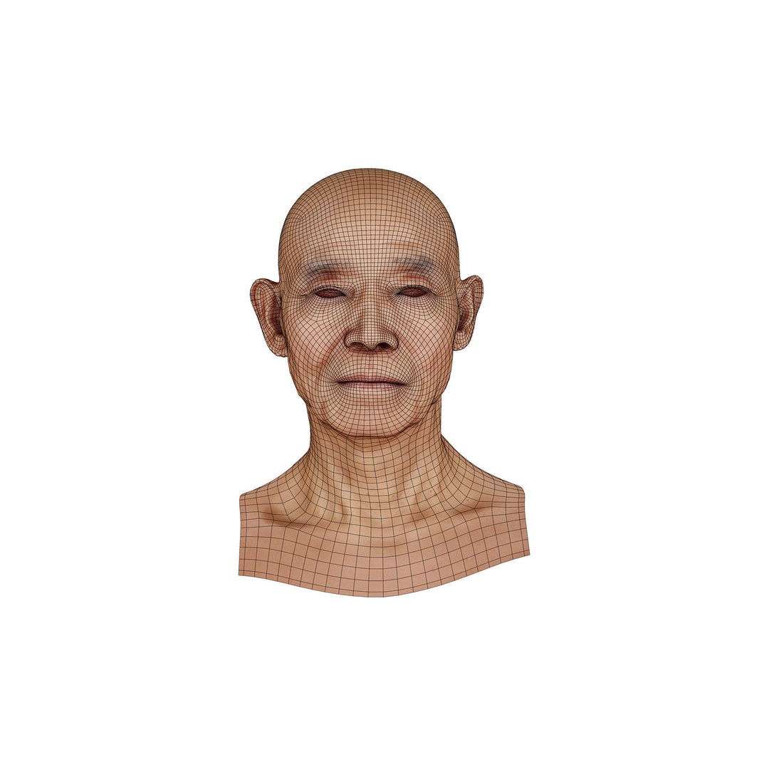 Retopologized Male Head 3D Model – Photogrammetry with PBR Textures - View 10