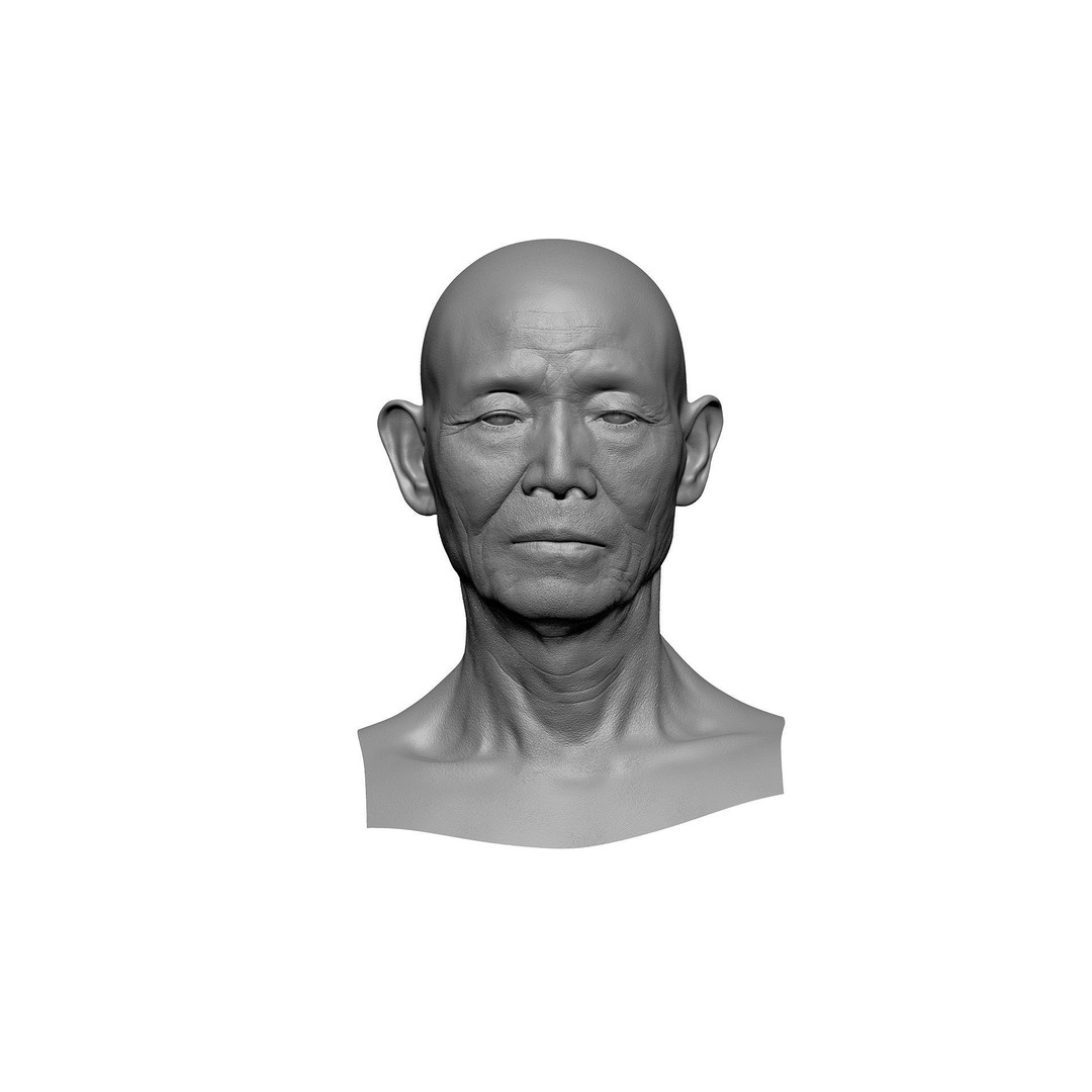 Retopologized Male Head 3D Model – Photogrammetry with PBR Textures - View 11