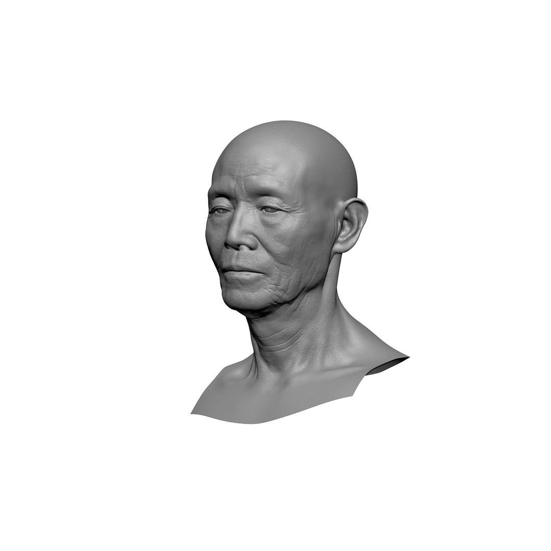 Retopologized Male Head 3D Model – Photogrammetry with PBR Textures - View 12