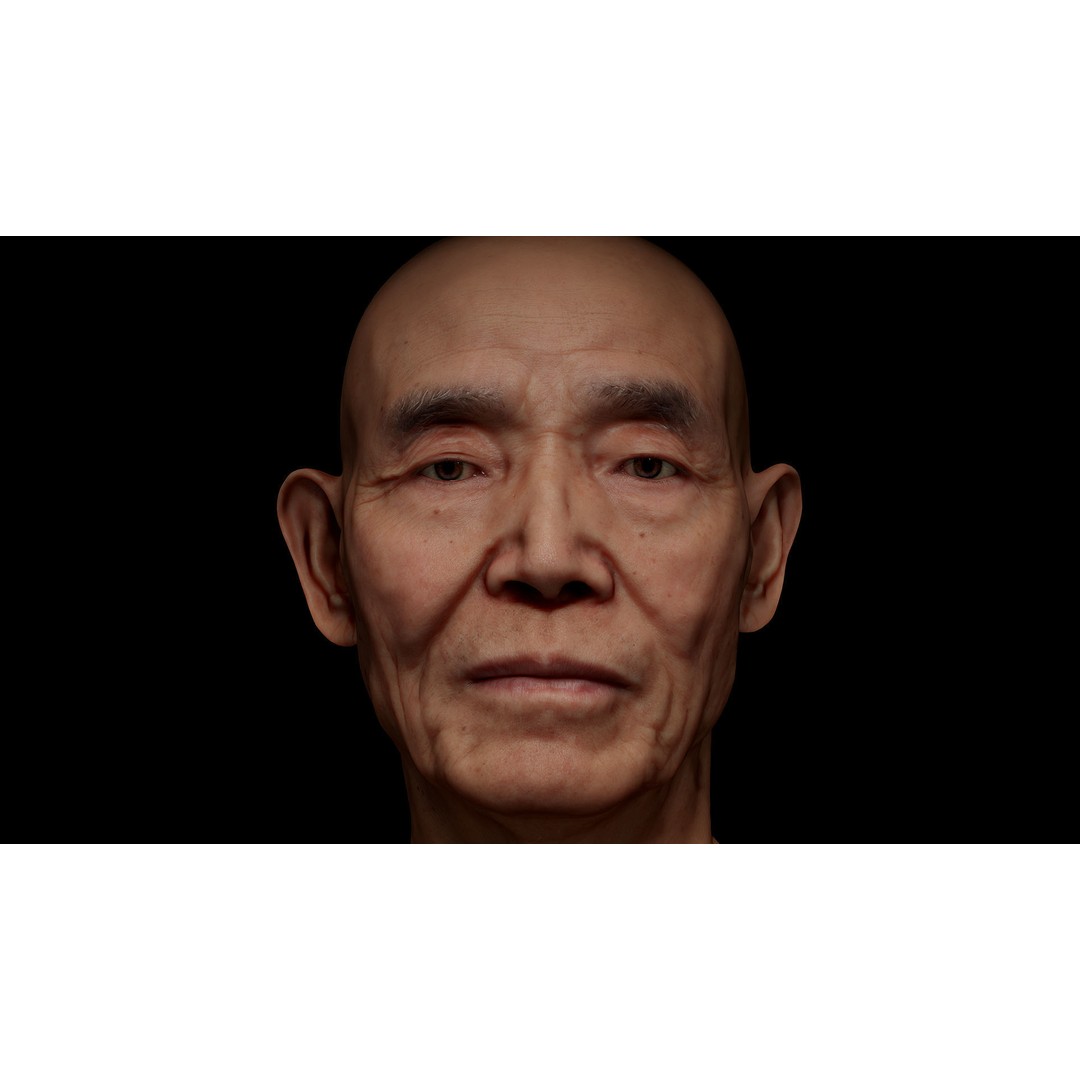 Retopologized Male Head 3D Model – Photogrammetry with PBR Textures - View 3