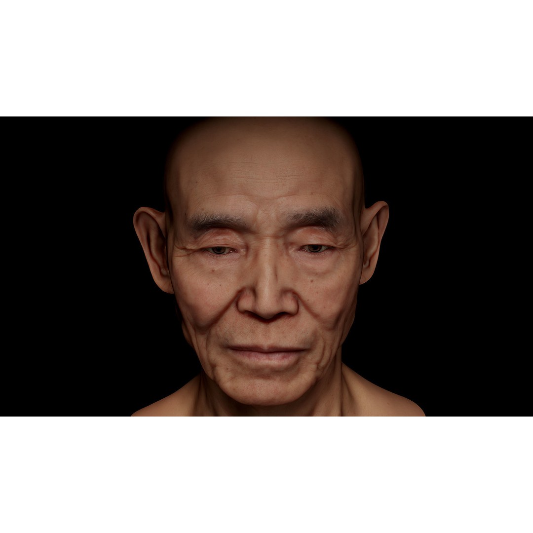 Retopologized Male Head 3D Model – Photogrammetry with PBR Textures - View 4