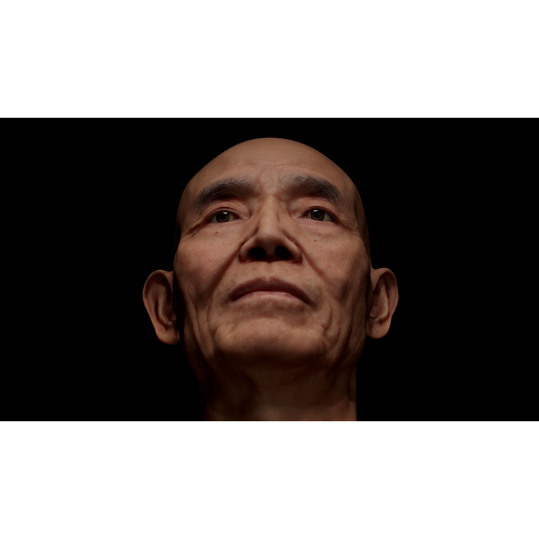 Retopologized Male Head 3D Model – Photogrammetry with PBR Textures - View 5