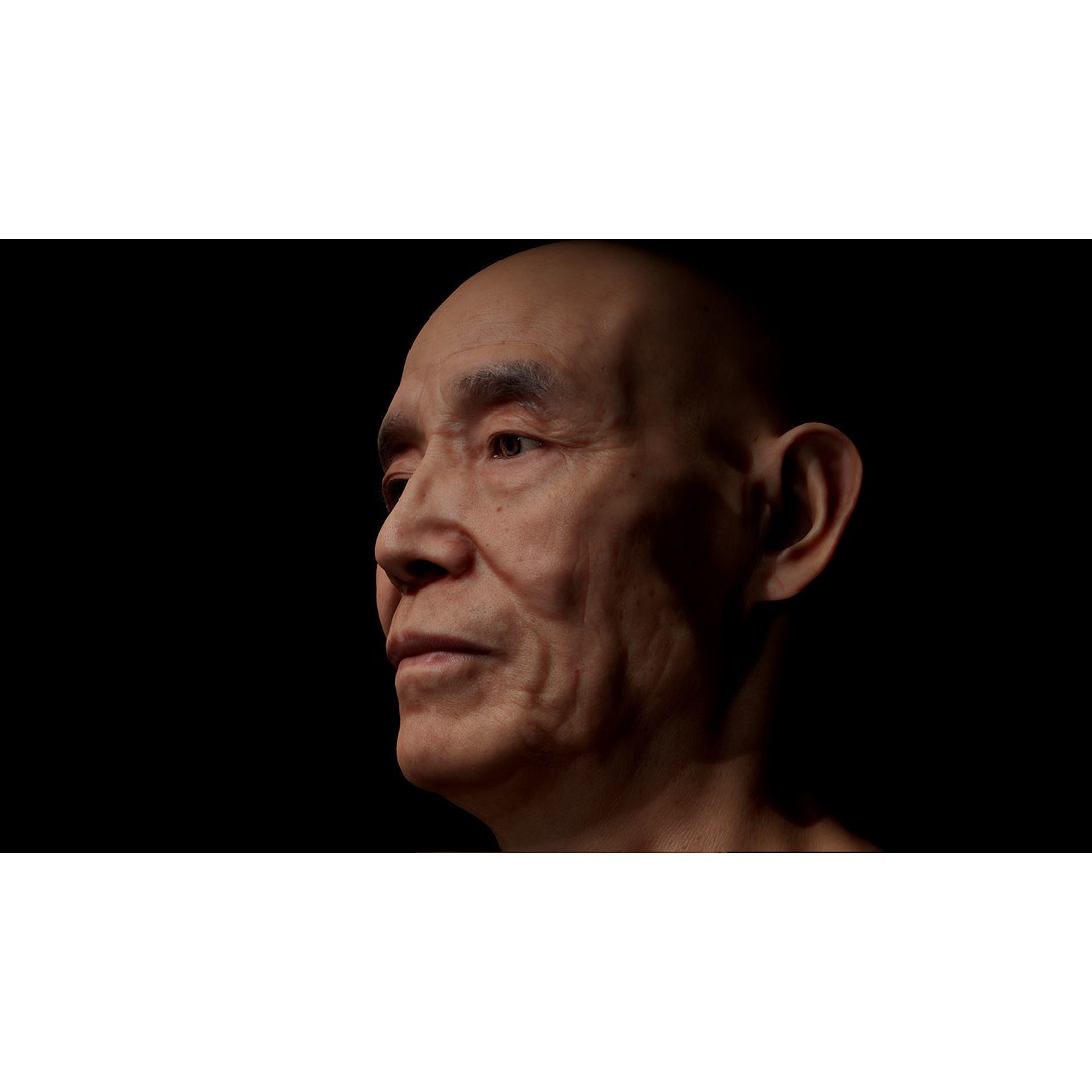 Retopologized Male Head 3D Model – Photogrammetry with PBR Textures - View 6
