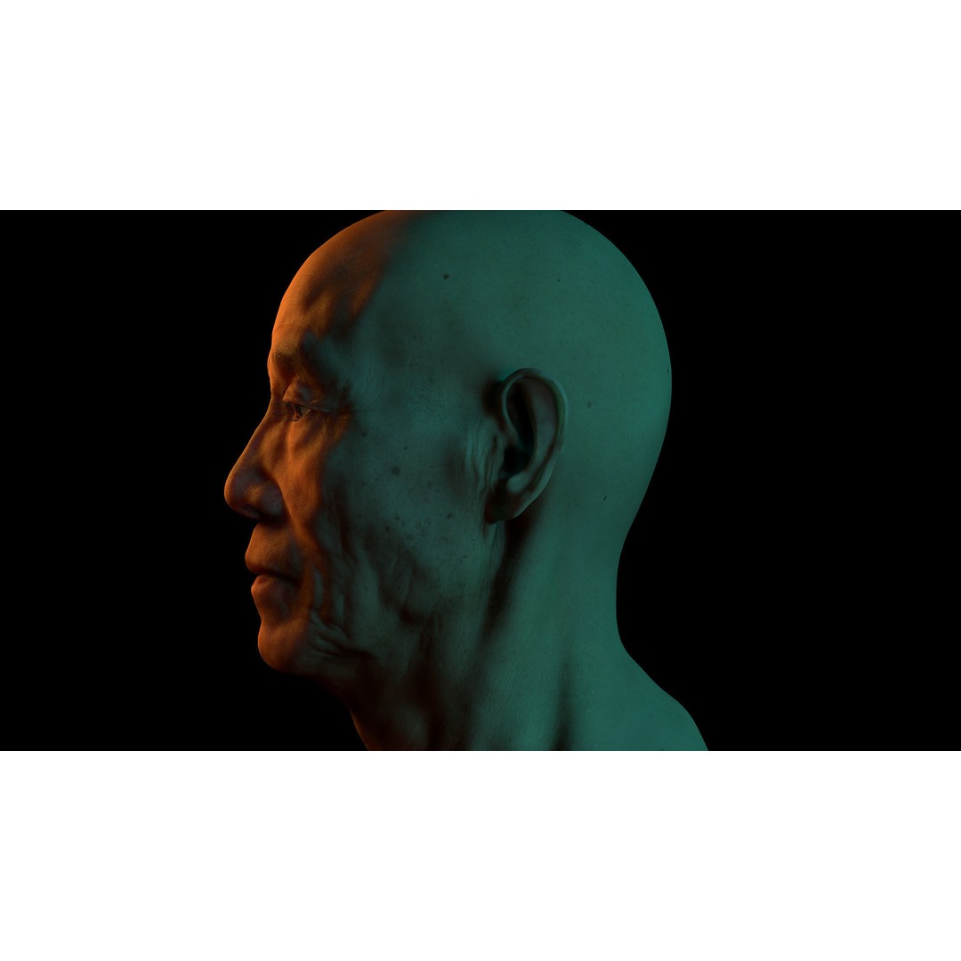 Retopologized Male Head 3D Model – Photogrammetry with PBR Textures - View 7