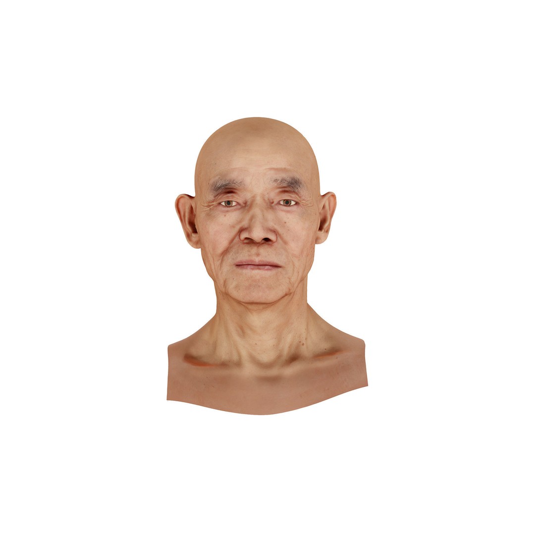 Retopologized Male Head 3D Model – Photogrammetry with PBR Textures - View 8
