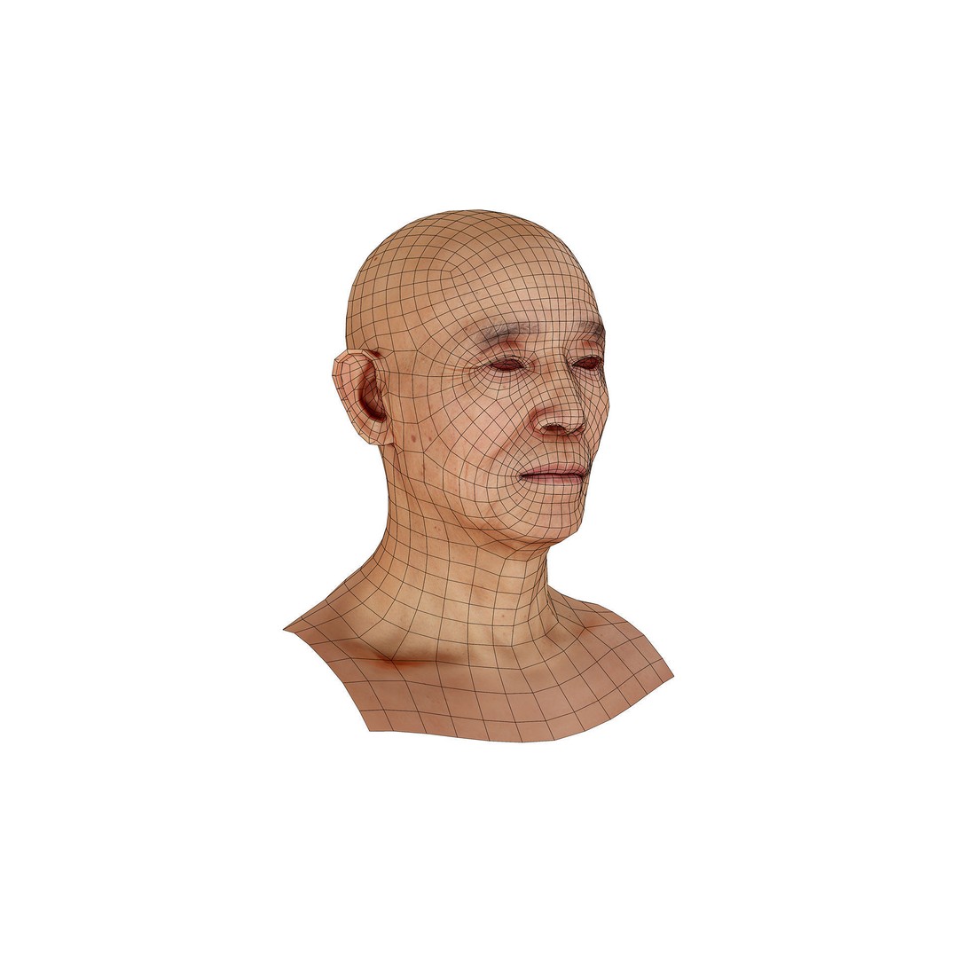Retopologized Male Head 3D Model – Photogrammetry with PBR Textures - View 9