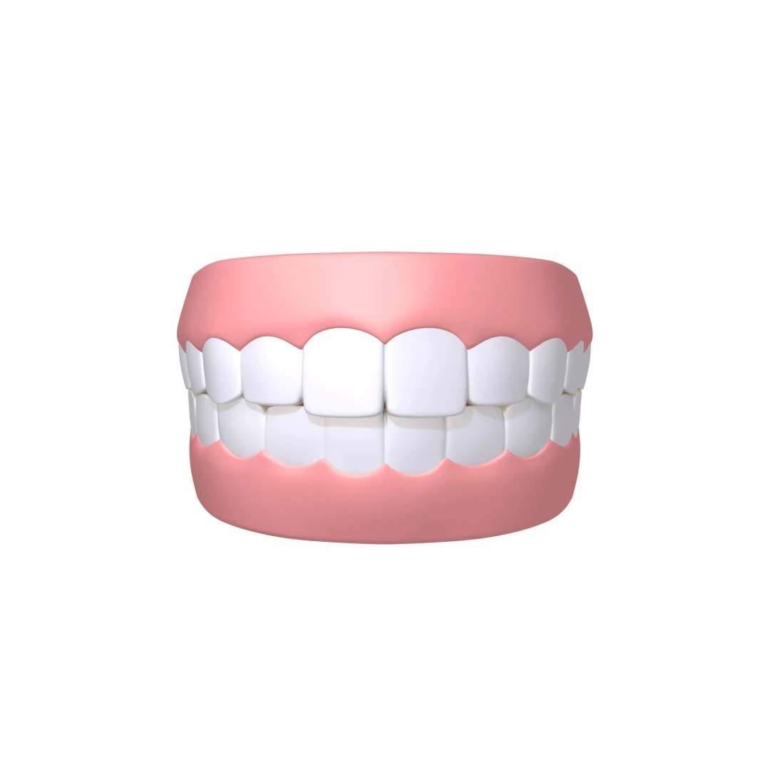 Human Mouth Teeth 3D Model – Cartoon Style, PBR Textures, FBX, OBJ - View 2