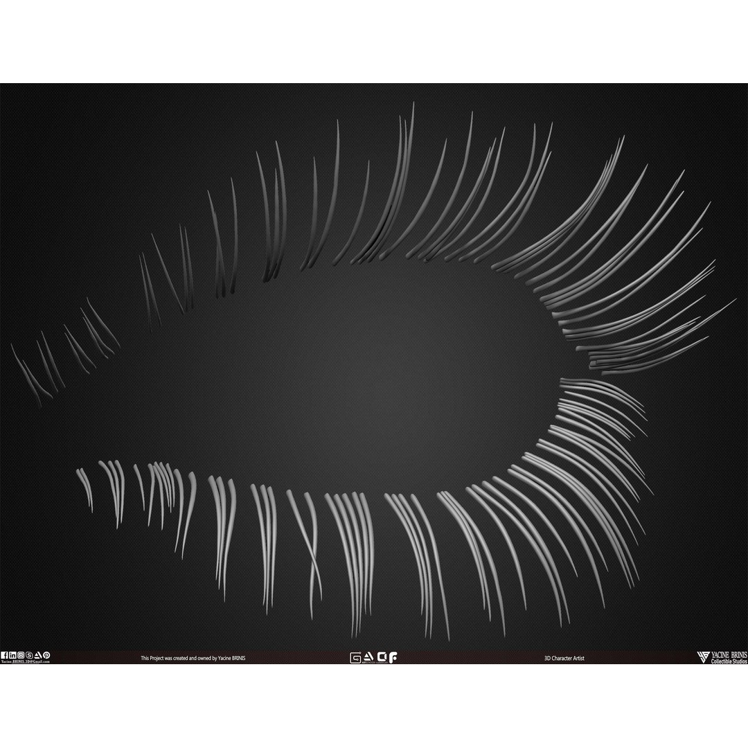 Human Eye Lashes 3D Model – Low Poly IMM Brush, OBJ, ZTL Formats - View 10