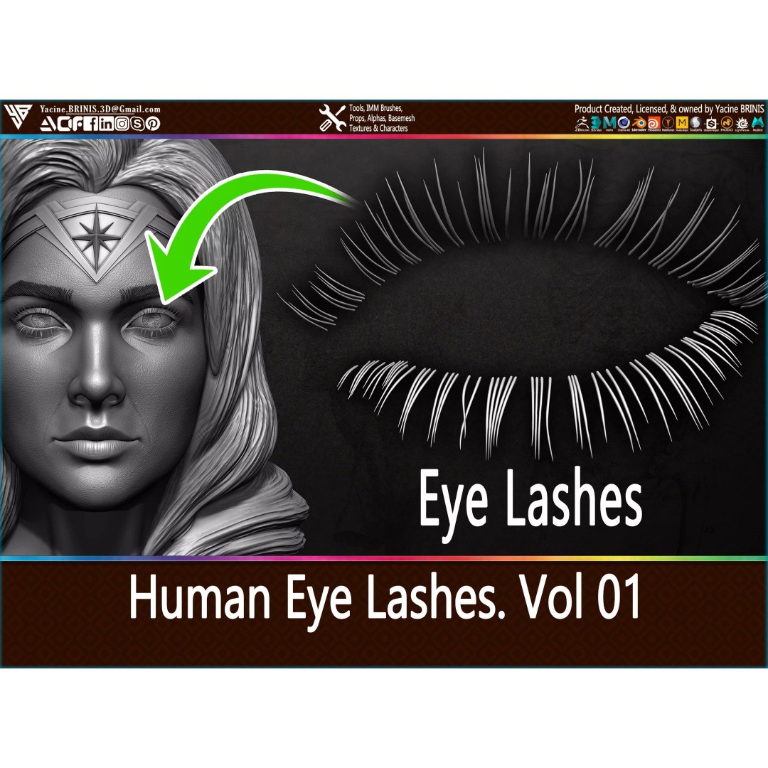 Human Eye Lashes 3D Model – Low Poly IMM Brush, OBJ, ZTL Formats - View 2