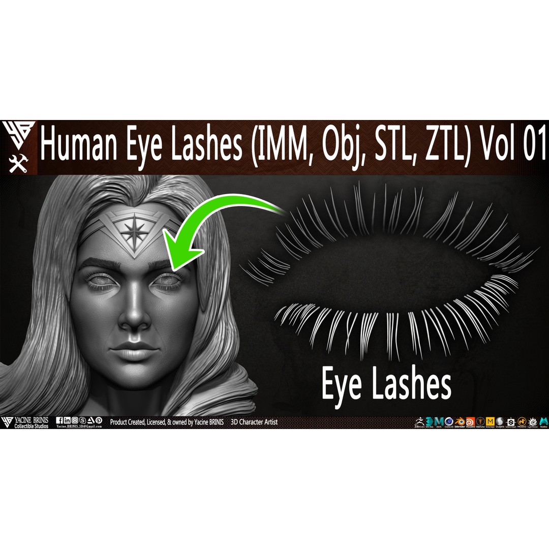 Human Eye Lashes 3D Model – Low Poly IMM Brush, OBJ, ZTL Formats - View 3