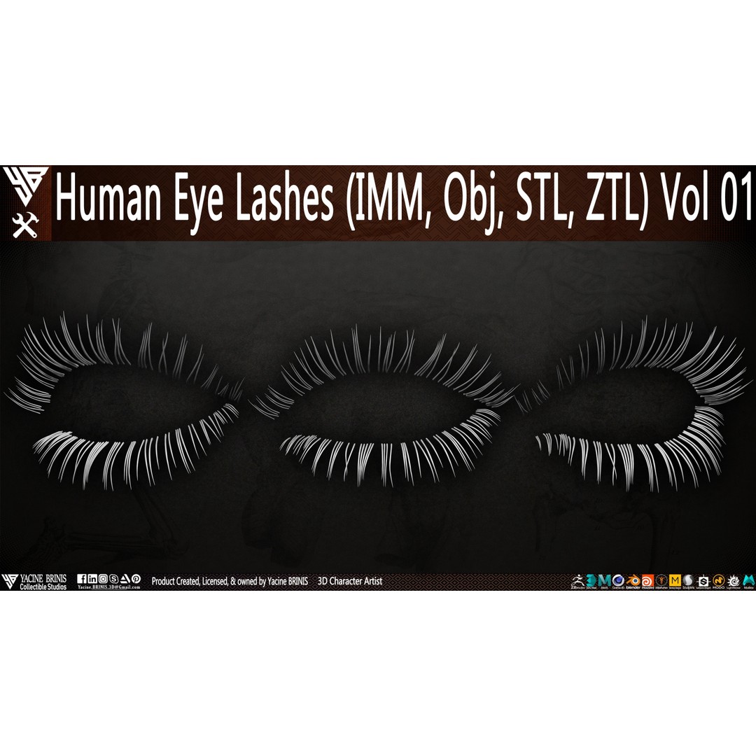 Human Eye Lashes 3D Model – Low Poly IMM Brush, OBJ, ZTL Formats - View 4