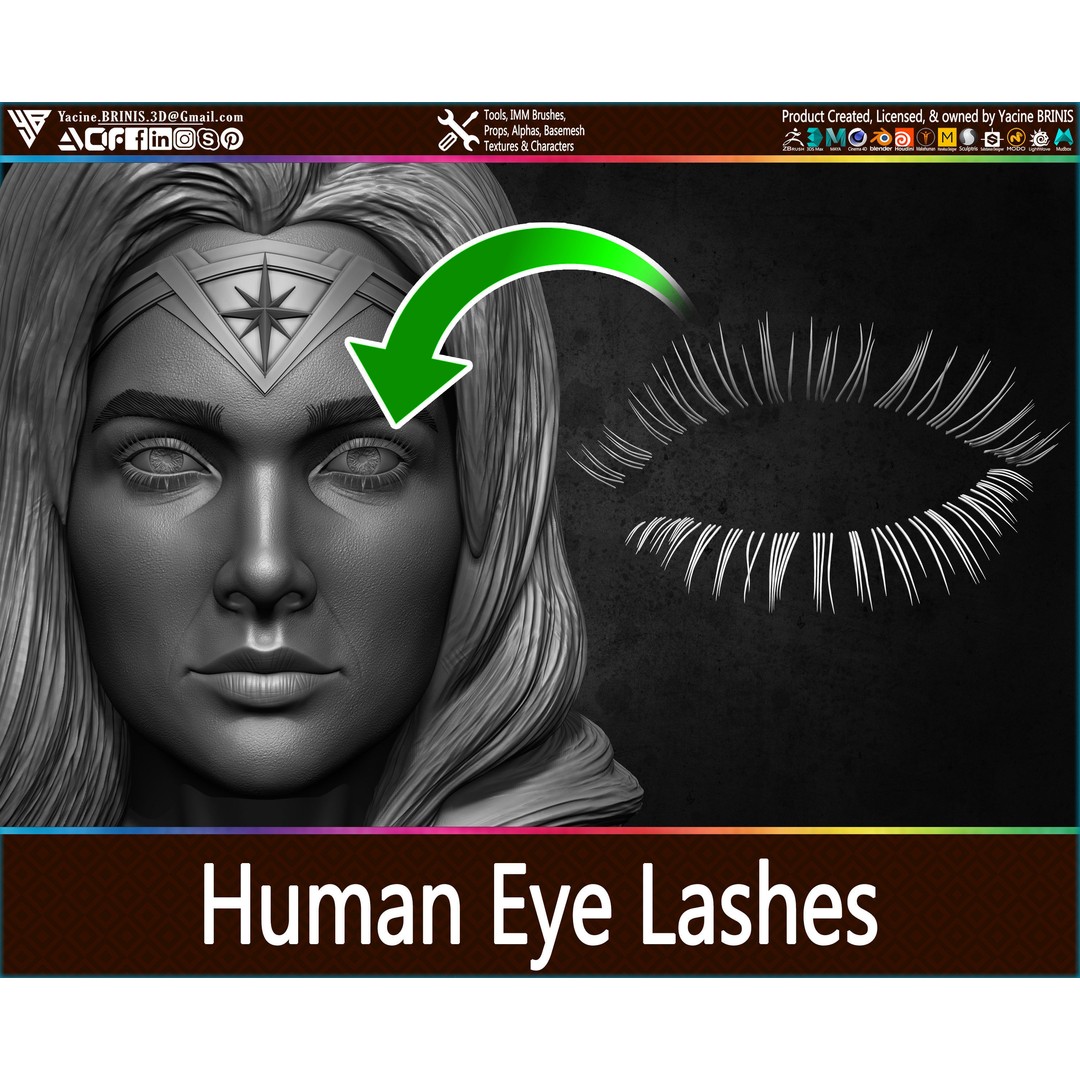 Human Eye Lashes 3D Model – Low Poly IMM Brush, OBJ, ZTL Formats - View 5