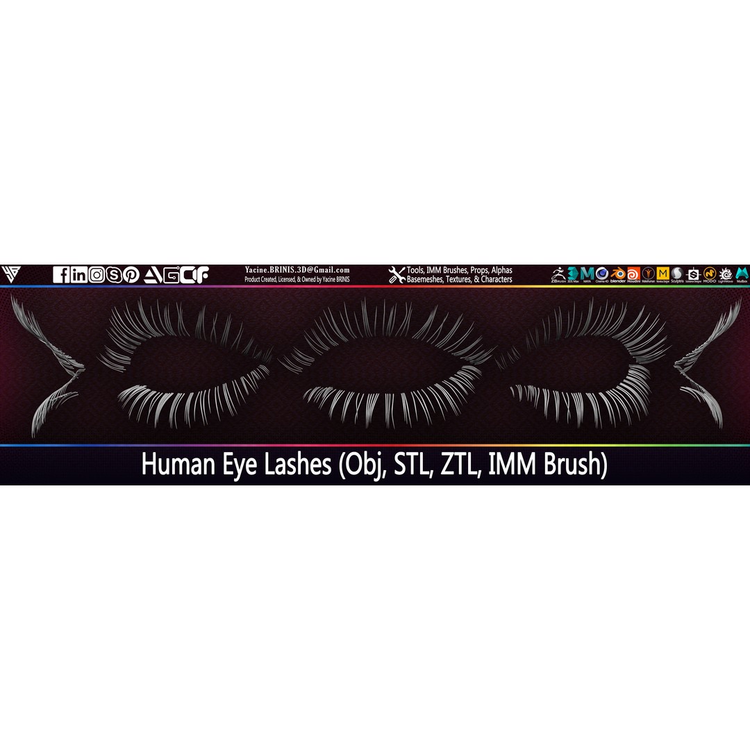 Human Eye Lashes 3D Model – Low Poly IMM Brush, OBJ, ZTL Formats - View 6