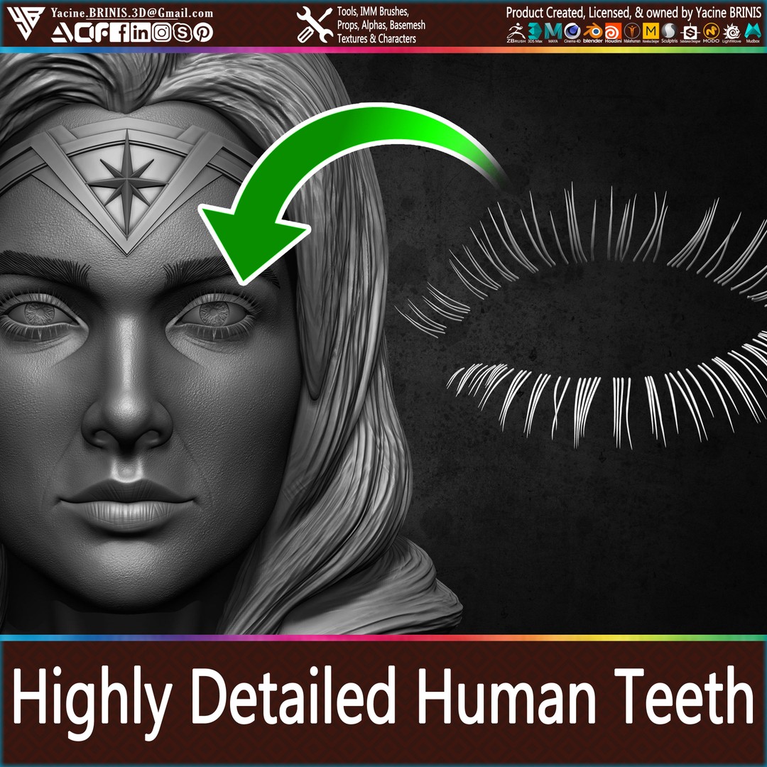 Human Eye Lashes 3D Model – Low Poly IMM Brush, OBJ, ZTL Formats - View 7