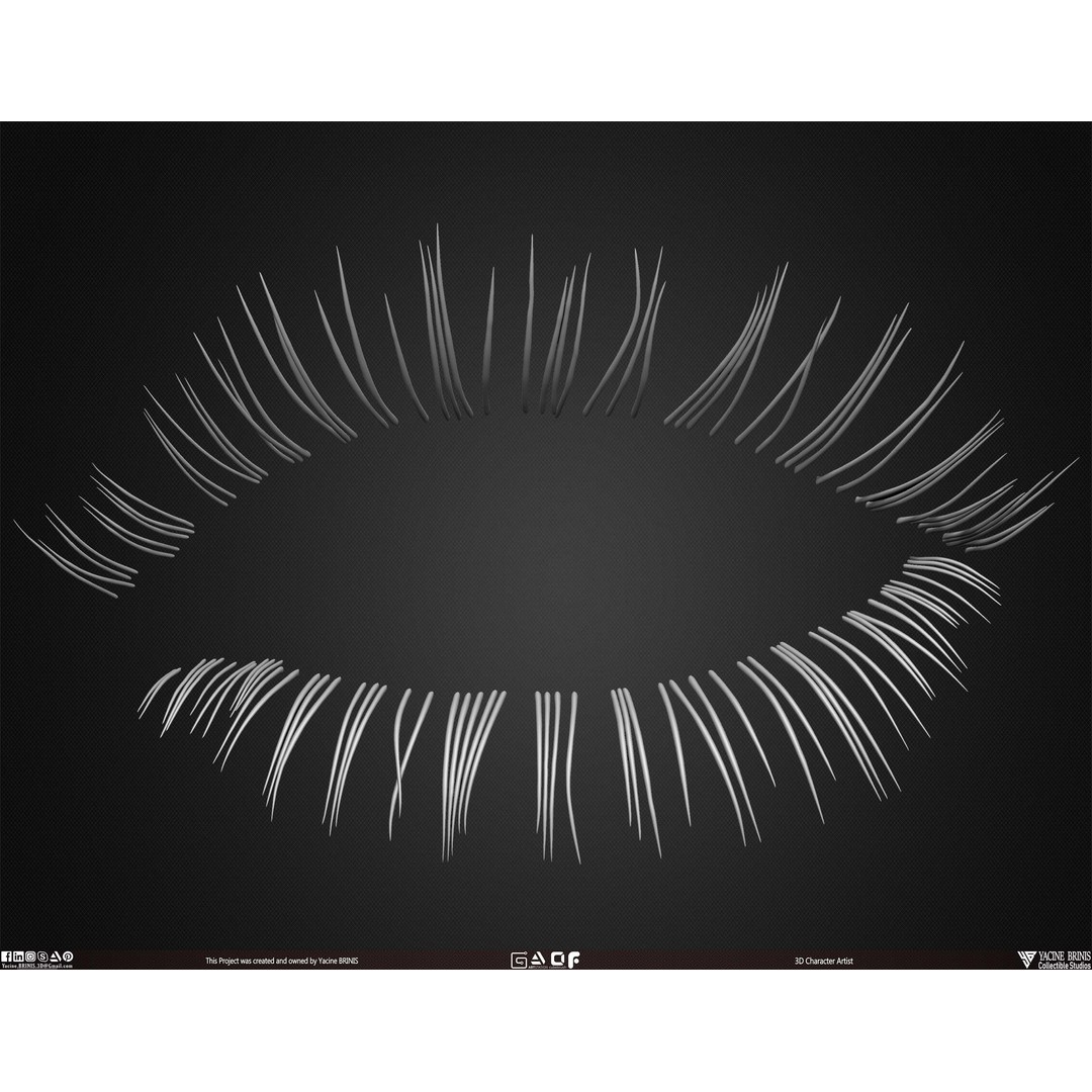 Human Eye Lashes 3D Model – Low Poly IMM Brush, OBJ, ZTL Formats - View 8