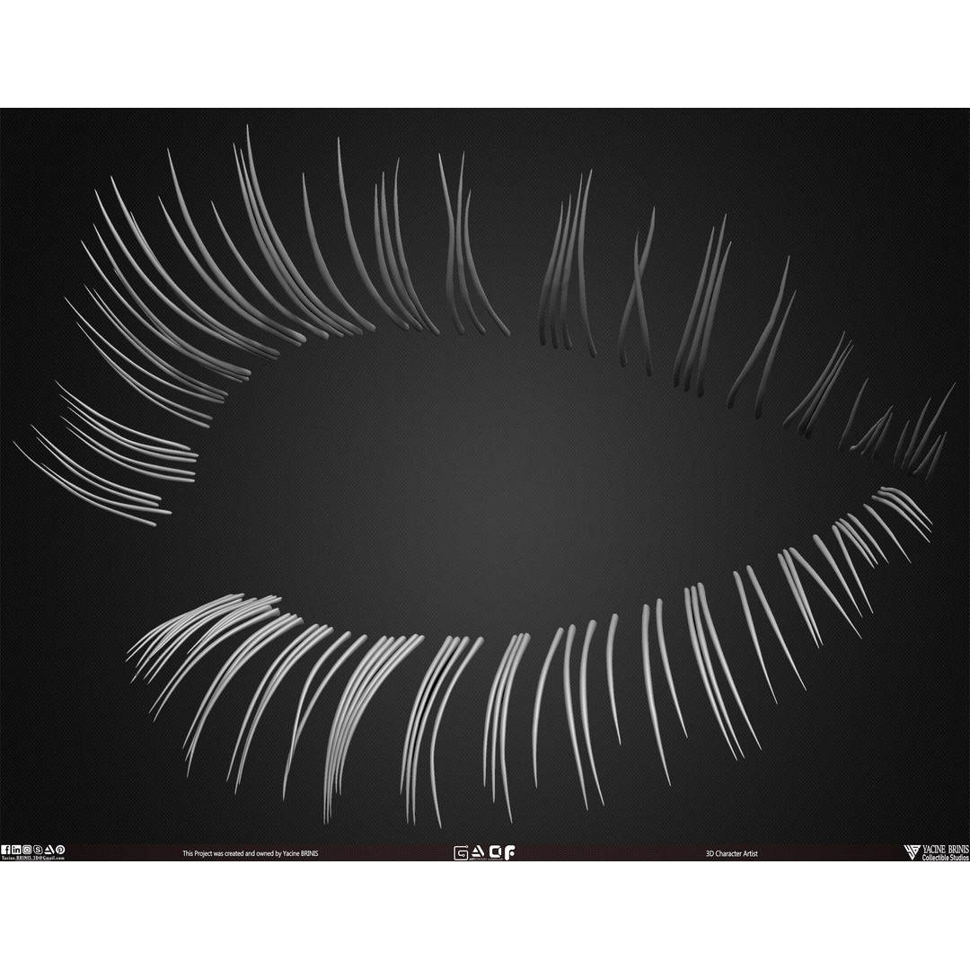 Human Eye Lashes 3D Model – Low Poly IMM Brush, OBJ, ZTL Formats - View 9