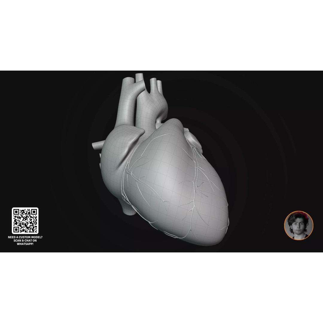 Realistic Human Digestive System 3D Model – Detailed Anatomy, Blender & FBX - View 10