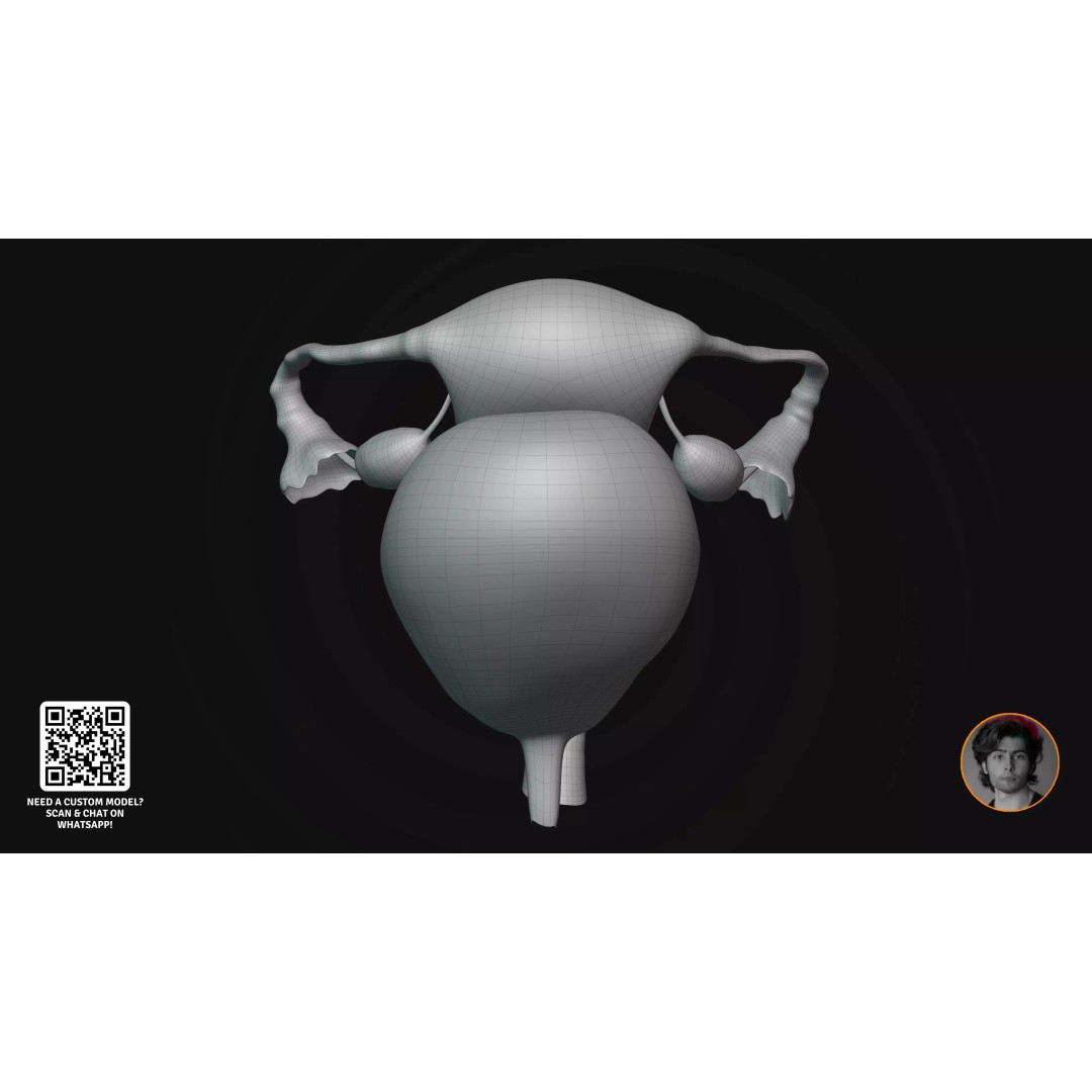 Realistic Human Digestive System 3D Model – Detailed Anatomy, Blender & FBX - View 16