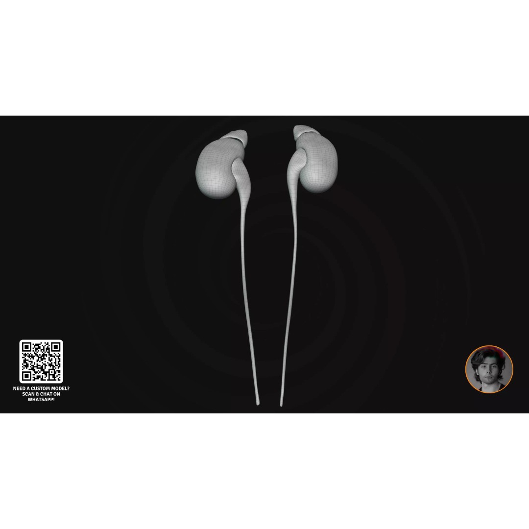 Realistic Human Digestive System 3D Model – Detailed Anatomy, Blender & FBX - View 20