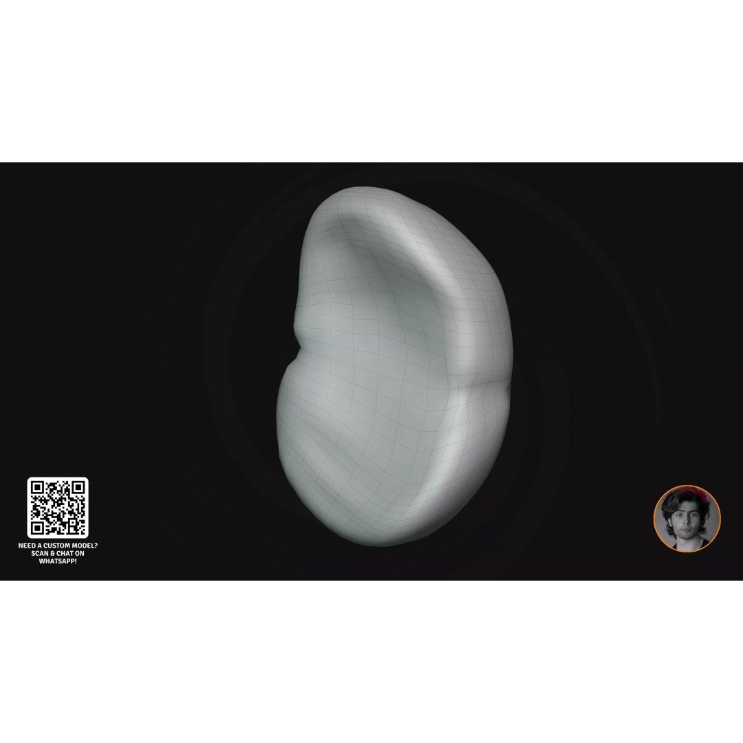 Realistic Human Digestive System 3D Model – Detailed Anatomy, Blender & FBX - View 23