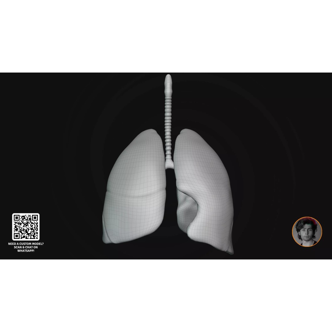 Realistic Human Digestive System 3D Model – Detailed Anatomy, Blender & FBX - View 25