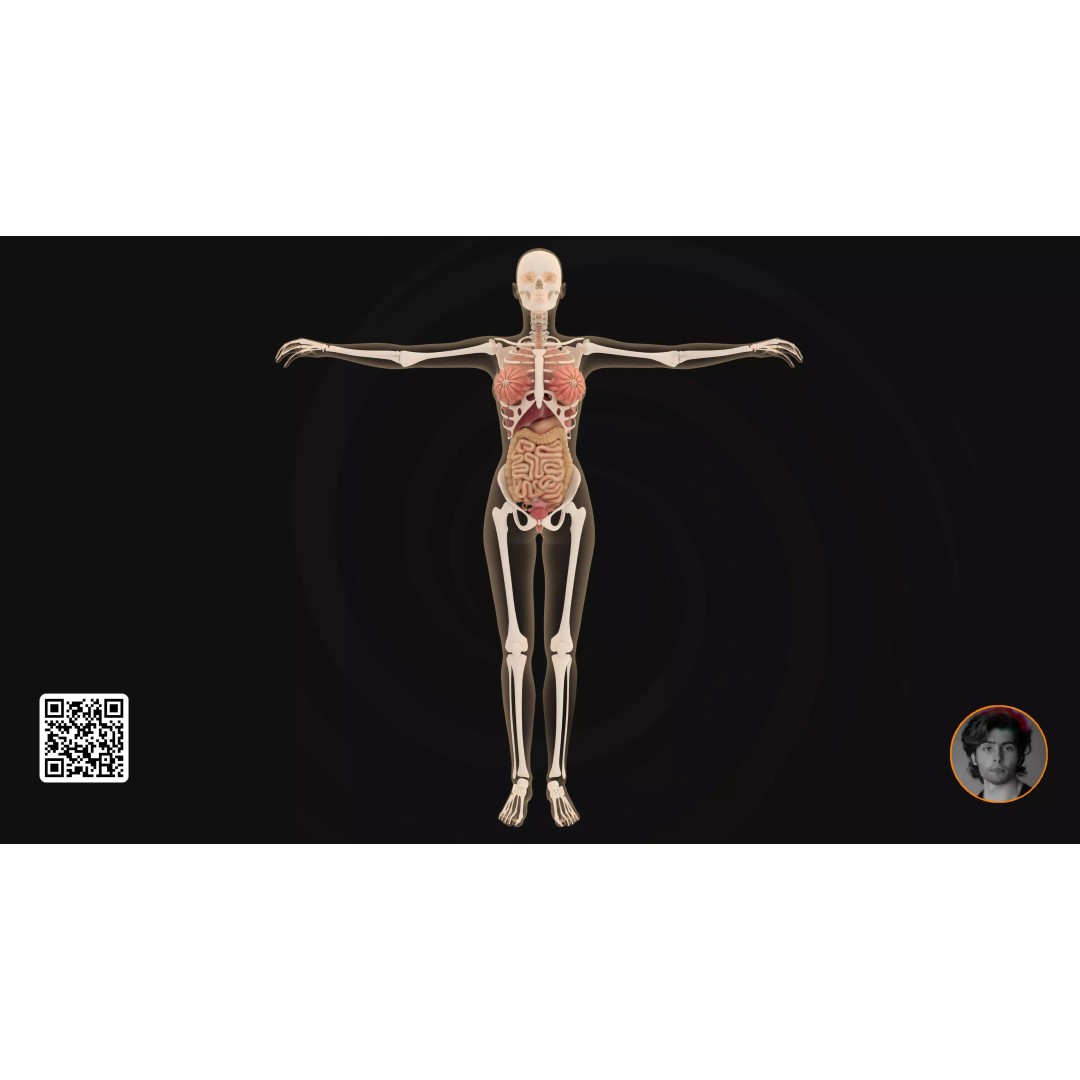 Realistic Human Digestive System 3D Model – Detailed Anatomy, Blender & FBX - View 3