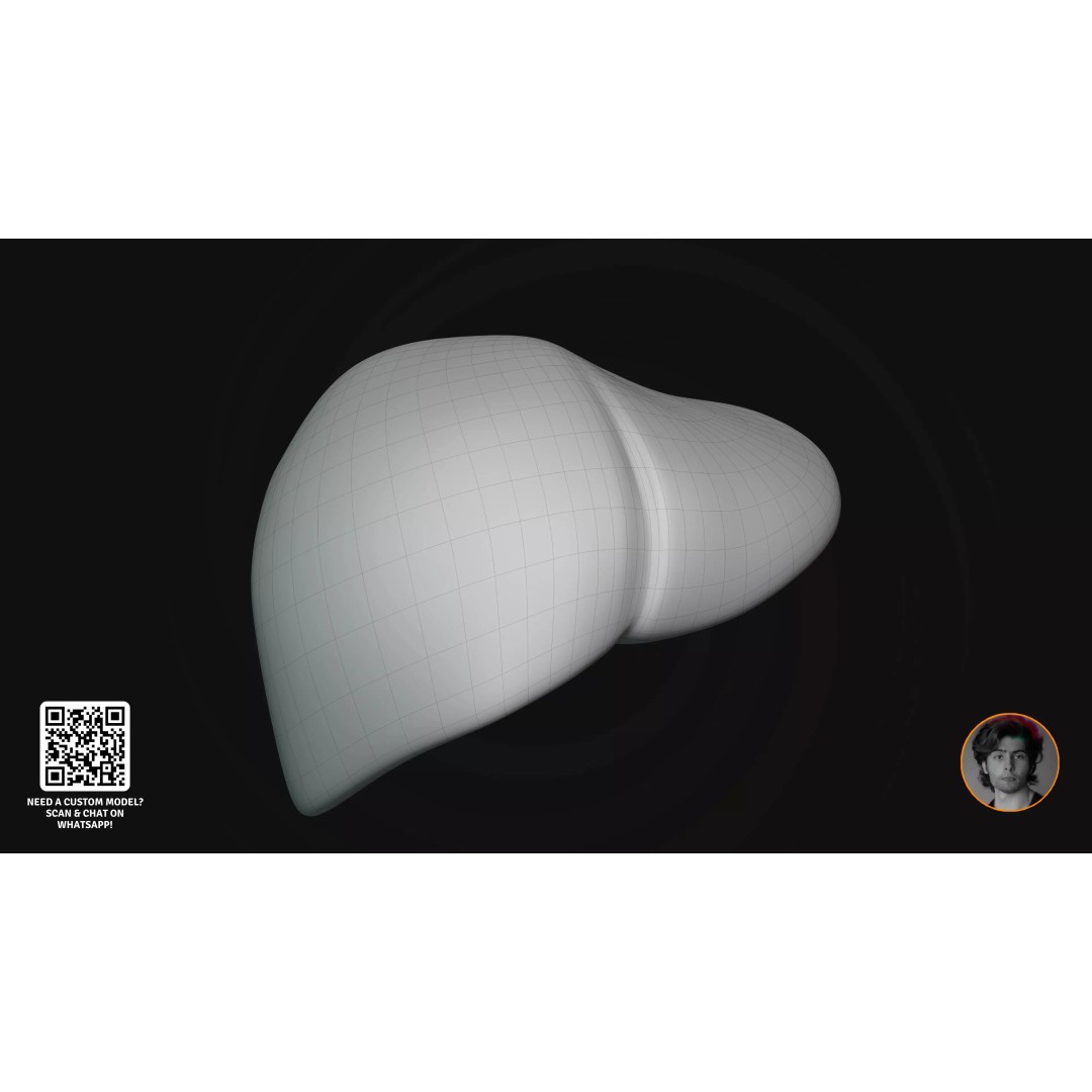 Realistic Human Digestive System 3D Model – Detailed Anatomy, Blender & FBX - View 9