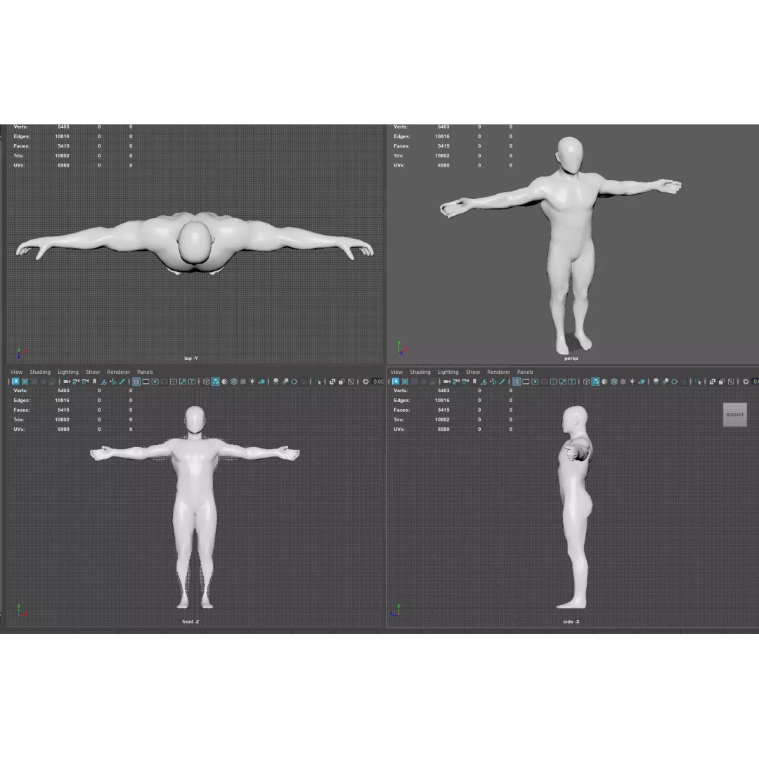 Male Muscular System Anatomy 3D Model – Low Poly PBR Asset, FBX - View 14