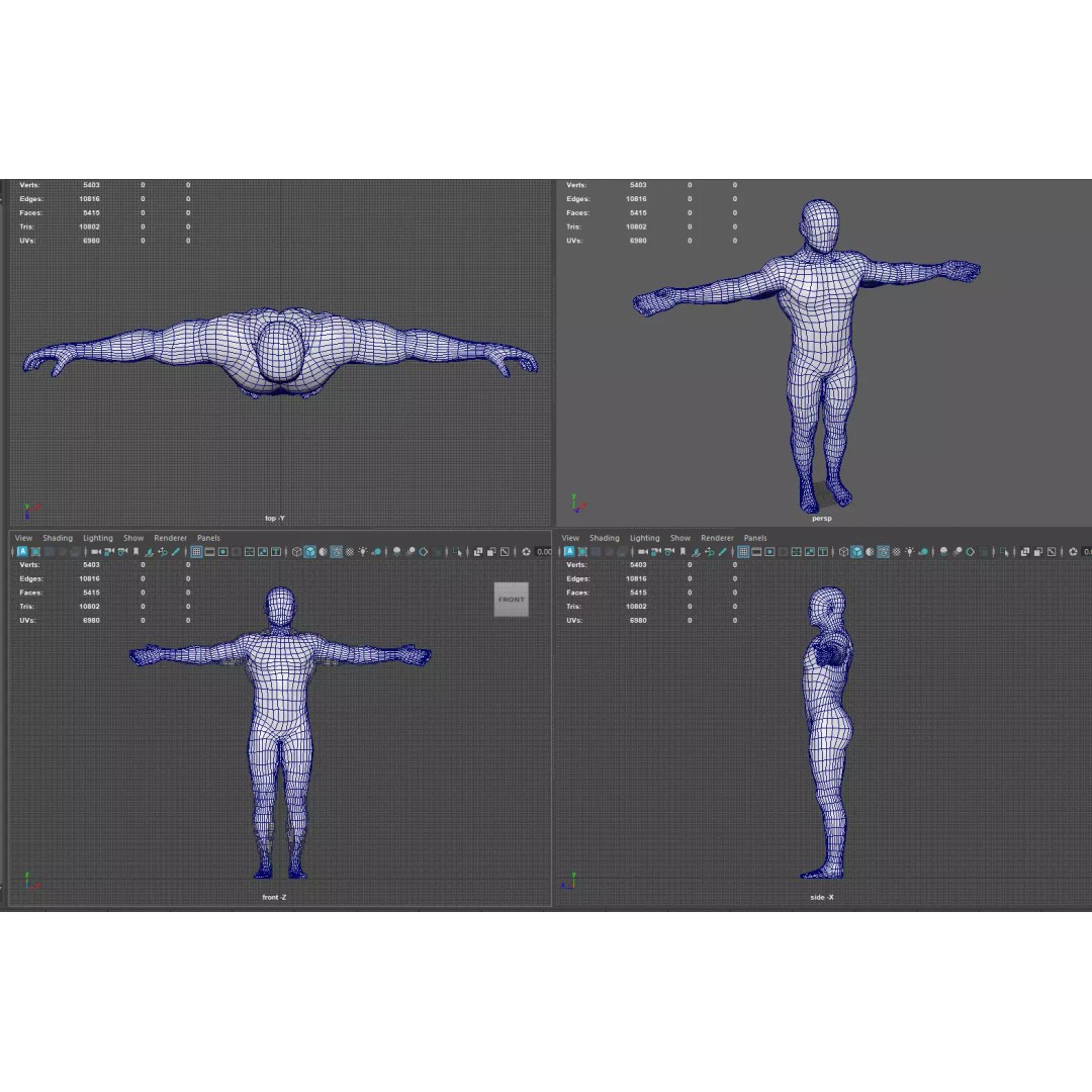 Male Muscular System Anatomy 3D Model – Low Poly PBR Asset, FBX - View 16