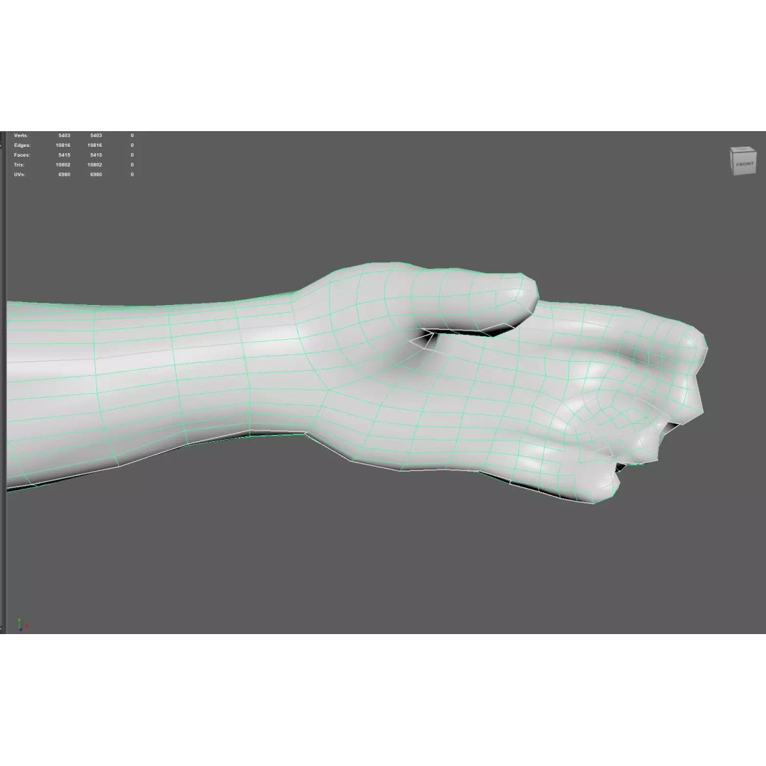 Male Muscular System Anatomy 3D Model – Low Poly PBR Asset, FBX - View 17