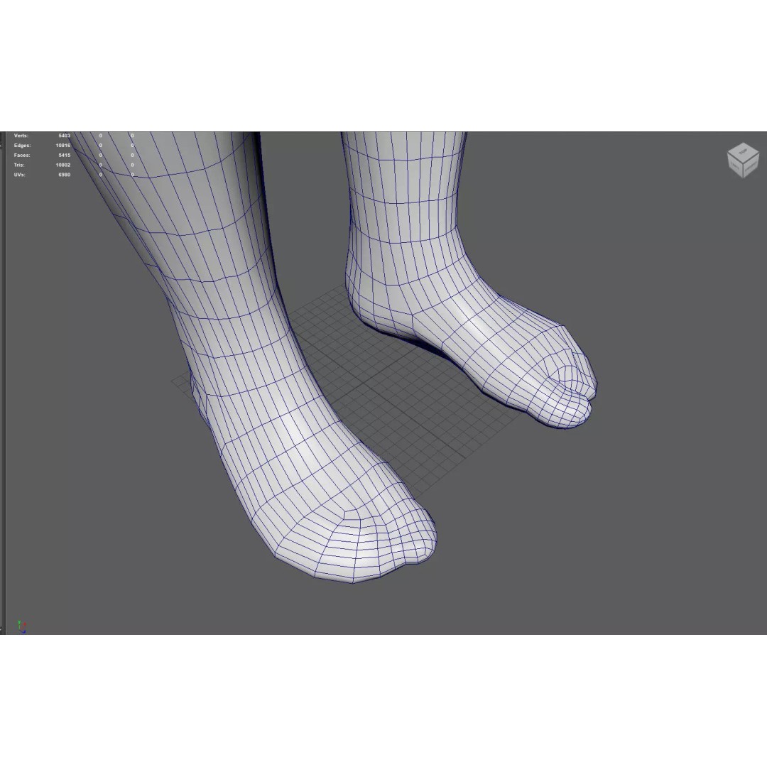 Male Muscular System Anatomy 3D Model – Low Poly PBR Asset, FBX - View 18
