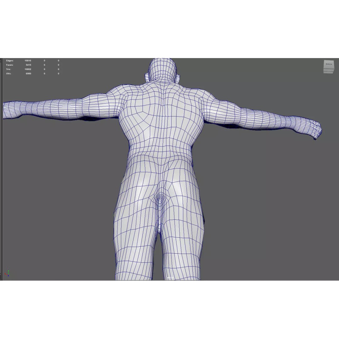 Male Muscular System Anatomy 3D Model – Low Poly PBR Asset, FBX - View 9