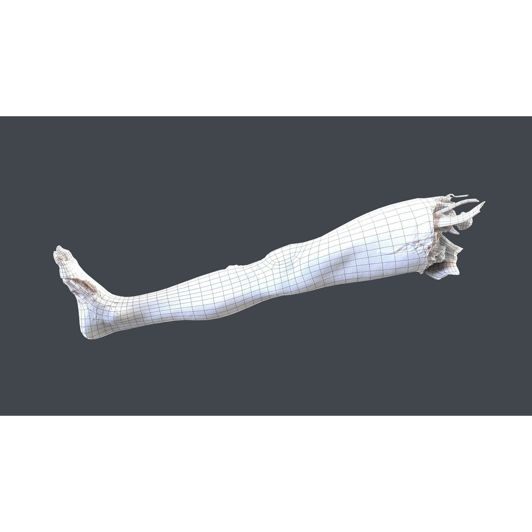 Severed Feet 3D Model – Low Poly Horror Asset, FBX, PBR Textures