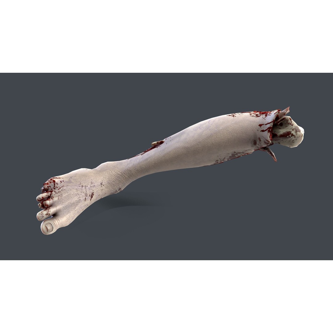 Severed Feet 3D Model – Low Poly Horror Asset, FBX, PBR Textures - View 16