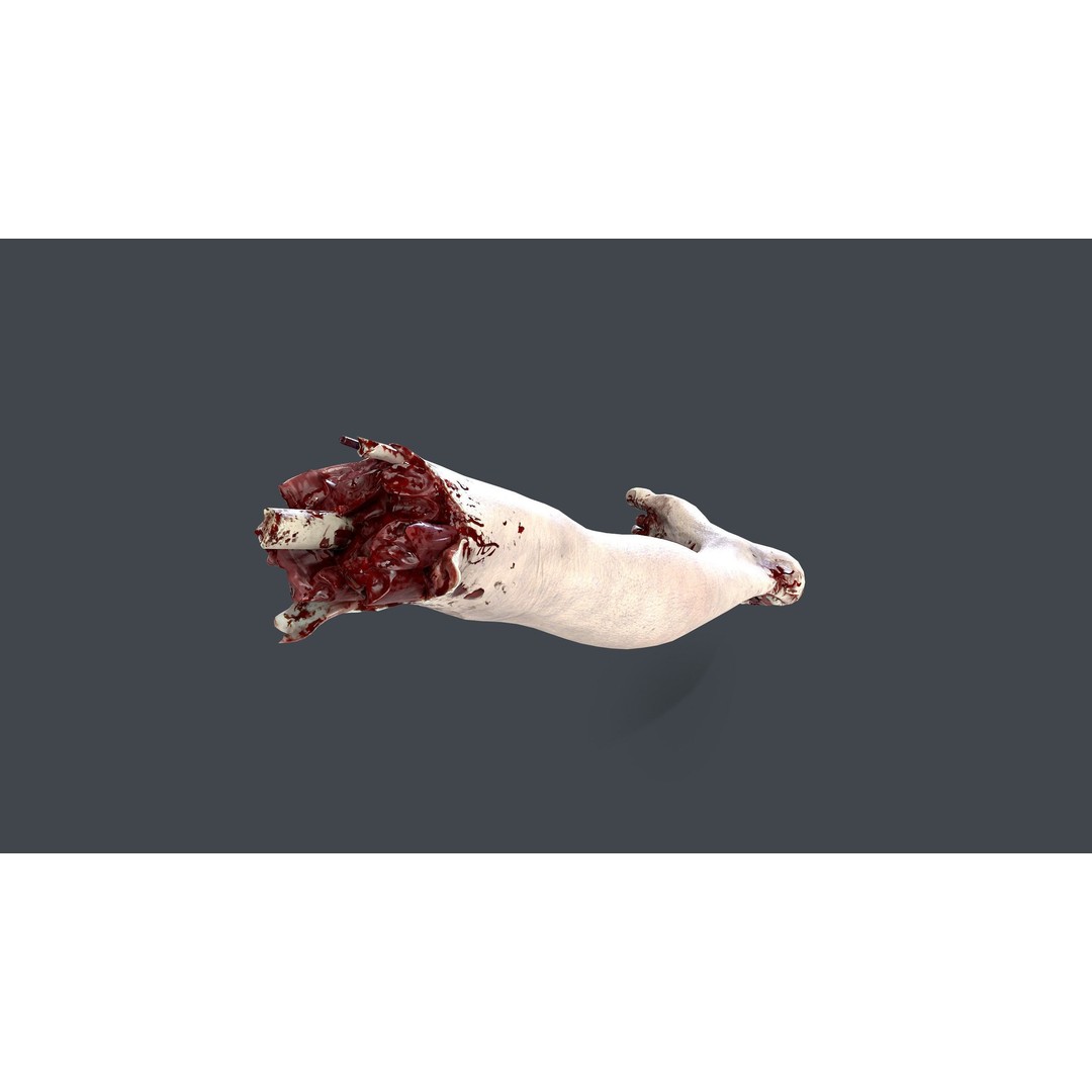 Severed Feet 3D Model – Low Poly Horror Asset, FBX, PBR Textures - View 17