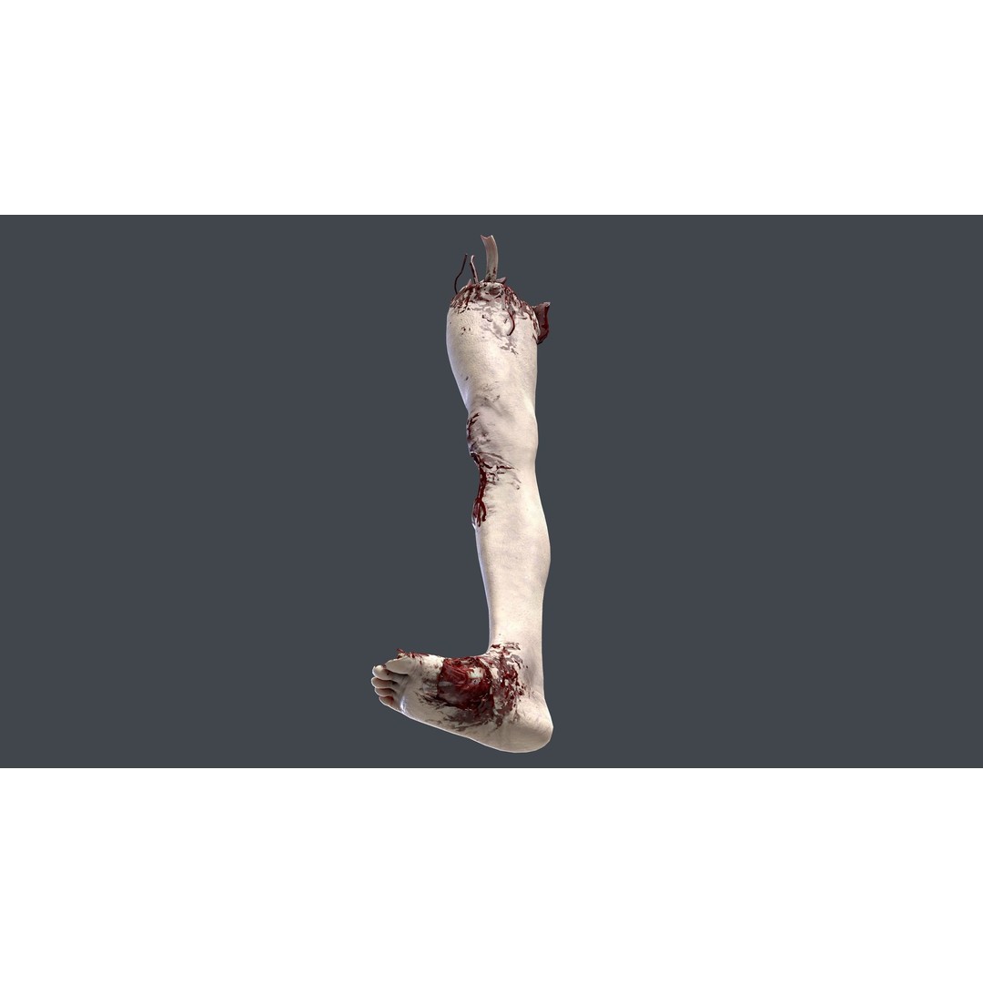 Severed Feet 3D Model – Low Poly Horror Asset, FBX, PBR Textures - View 18