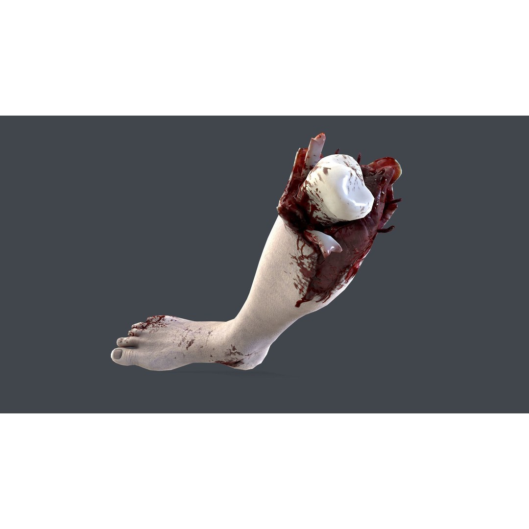 Severed Feet 3D Model – Low Poly Horror Asset, FBX, PBR Textures - View 19