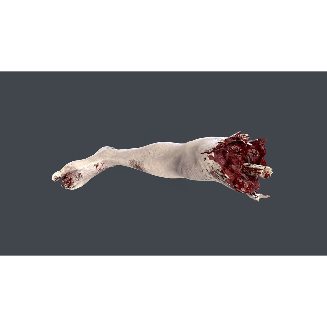 Severed Feet 3D Model – Low Poly Horror Asset, FBX, PBR Textures - View 20