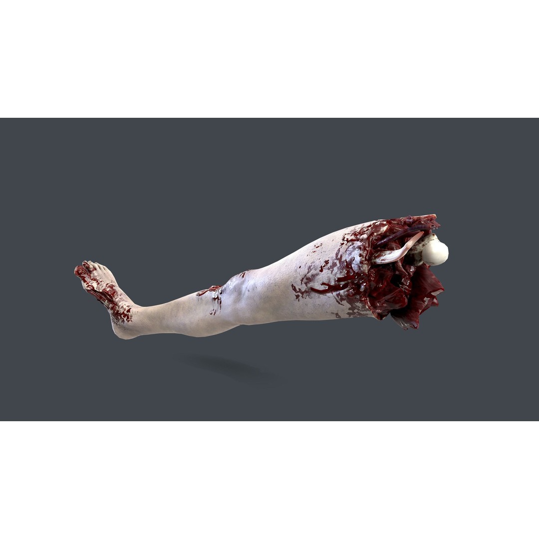 Severed Feet 3D Model – Low Poly Horror Asset, FBX, PBR Textures - View 21