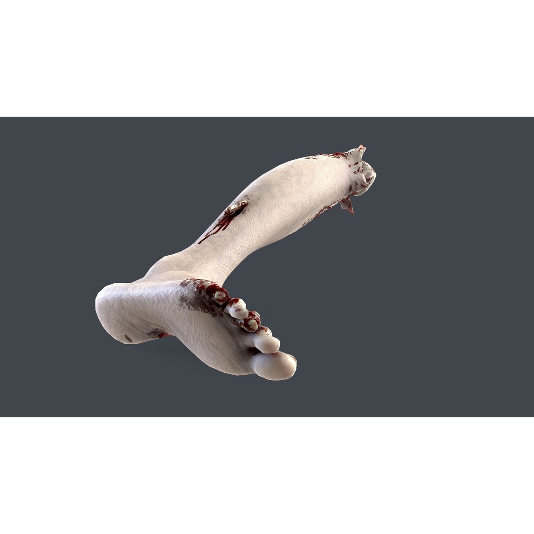 Severed Feet 3D Model – Low Poly Horror Asset, FBX, PBR Textures - View 22
